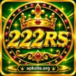 222RS Game