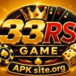 33RS Game