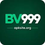 BV999 Game