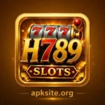 H789 Game