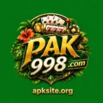PAK998 Game