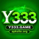 Y333 Game