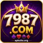 7987 game