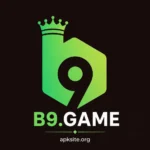 B9 game