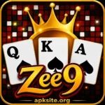 Zee9 game